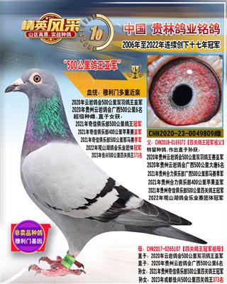 21年奇信四关特比环冠军母亲