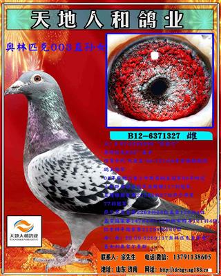 奥林匹克003直孙女