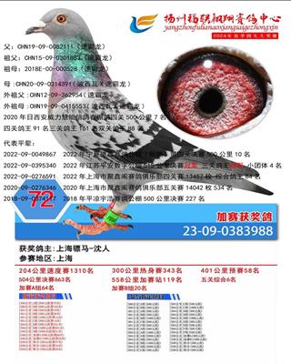 骠马3988