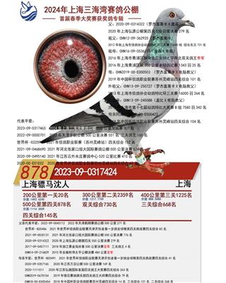 骠马7424
