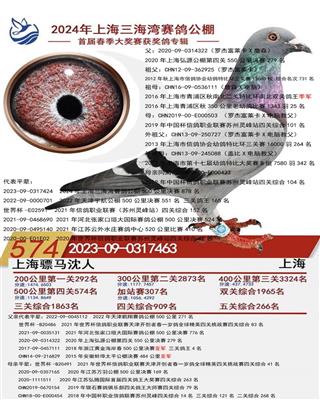 骠马7463