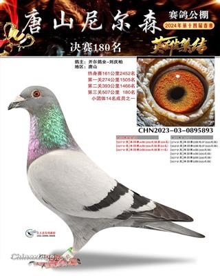 24年春唐山尼尔森决赛180名