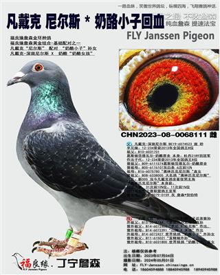 凡戴克 尼尔斯 * 奶酪小子