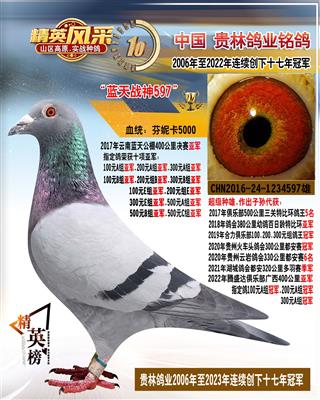 “蓝天战神597”