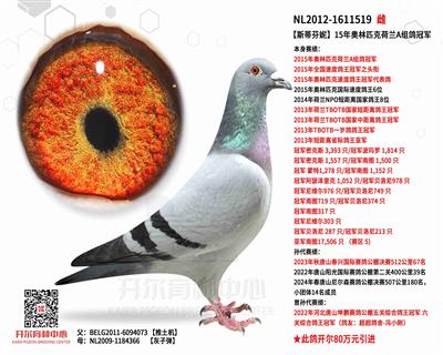 【斯蒂芬妮】奥林匹克荷兰A组冠军