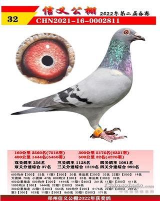 2022年河南信义春棚决赛32位