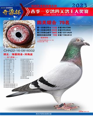 郑州开源寄养棚78名