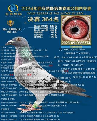骠马5774