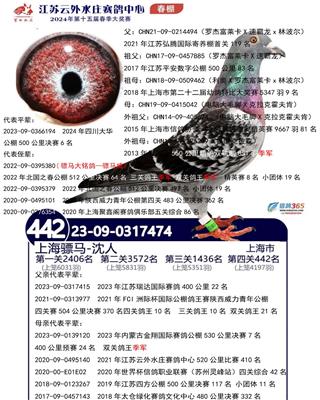 骠马7474