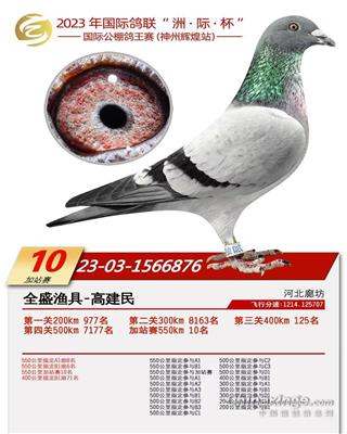 神州辉煌加站赛10名