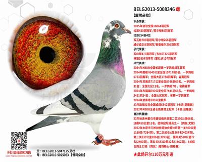 【霹雳朵拉】波治全国冠军