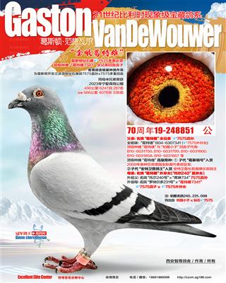 “葛特雌”兄弟直子