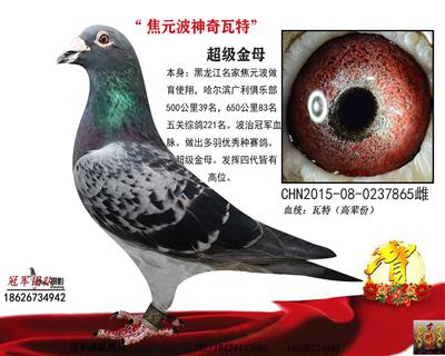 焦元波瓦特金母