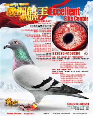 新金姆直子x直女