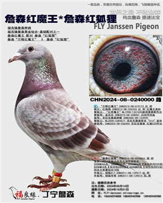 詹森红魔王*詹森红狐狸