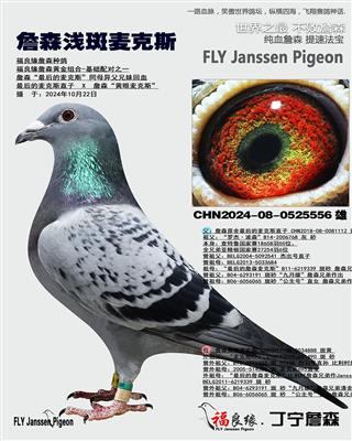 詹森最后的麦克斯同母异父兄妹回血