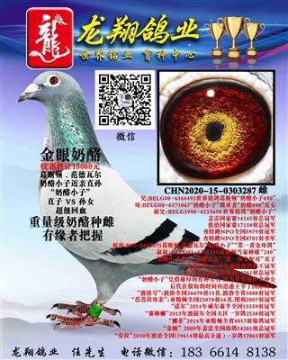 “奶酪小子”近亲孙女出售