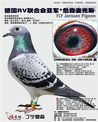 德国RV联合会亚军*詹森麦克斯