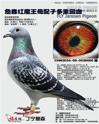 詹森红魔王母配子多重回血