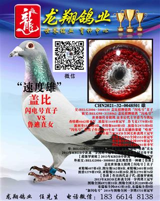 近亲盖比雄出售