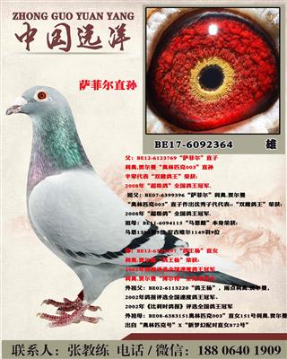 “萨菲尔”直孙