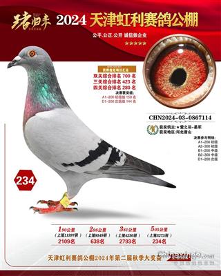 2024年虹利公棚