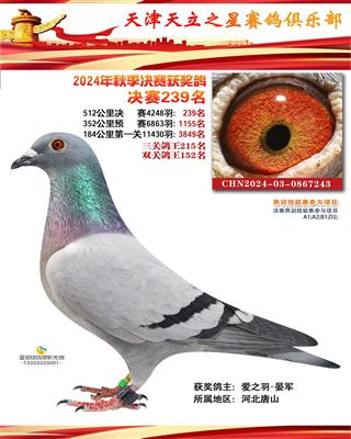 2024年天立小棚