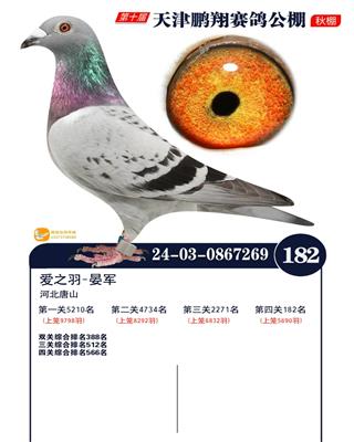 2024年鹏翔公棚