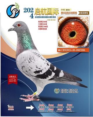 2024年启航公棚