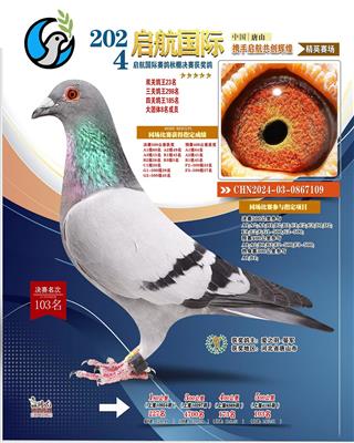 2024年启航公棚