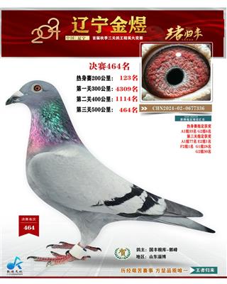 辽宁金煜公棚决赛464名