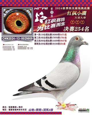 红枫决赛254名
