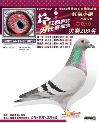 红枫决赛209名