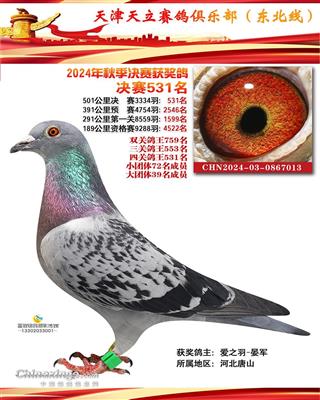 2024年天立公棚