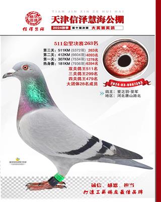 2024年信泽公棚