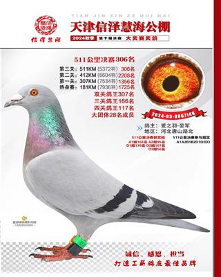 2024年信泽公棚