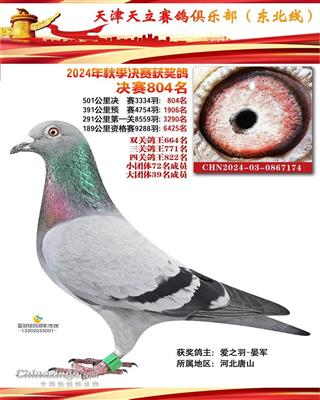 2024年天立公棚