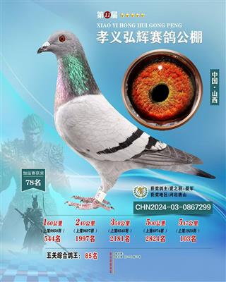 2024年山西孝义弘辉公棚