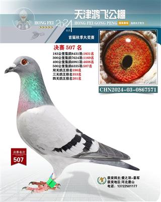 2024年鸿飞公棚