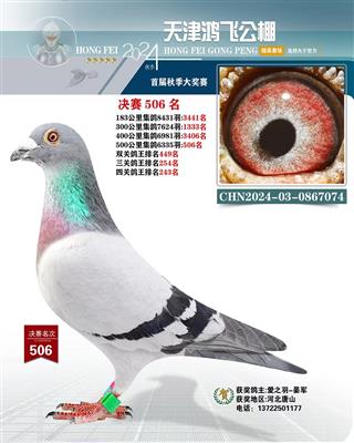 2024年鸿飞公棚