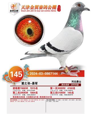 2024年金翼公棚