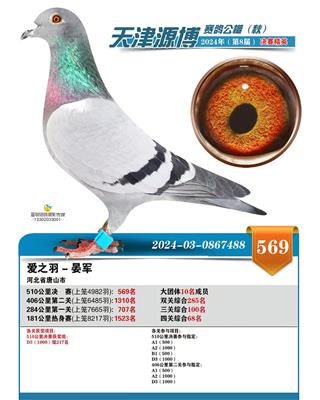 2024年源博公棚