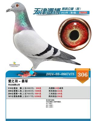 2024年源博公棚