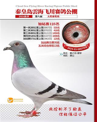 2024年云海飞川公棚