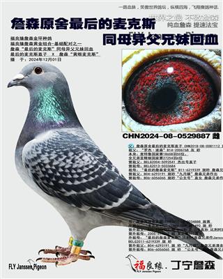 詹森最后的麦克斯同母异父兄妹回血