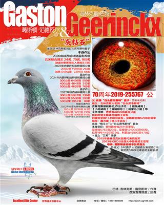 白头席韦斯特孙