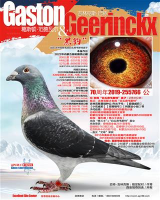 白头席韦斯特孙