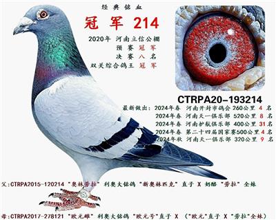 冠军利奥