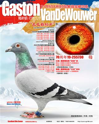 芭堤雅决赛342名