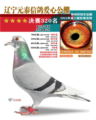 2024年元泰公棚